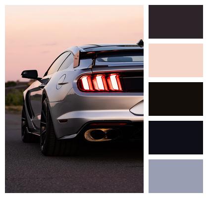 Auto Mustang Style Image