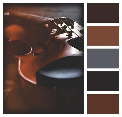 Strings Instrument Artistic Violin Image