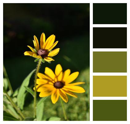 Flower Yellow Green Image
