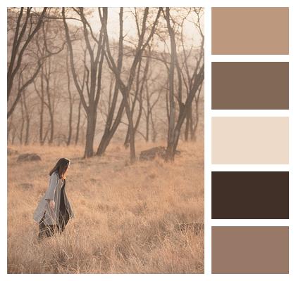 Walk Grassland Girl Wood Image