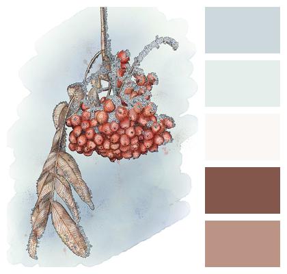 Watercolor Fruit Berries Image