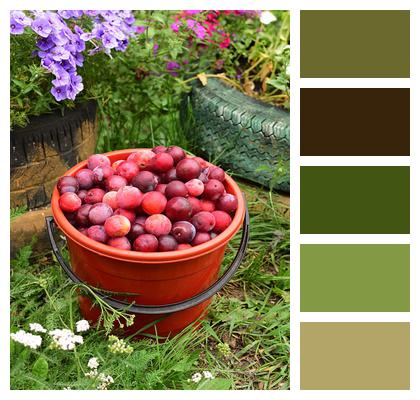 Peasant Cherry Basket Image