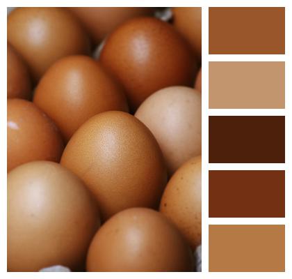 Baking Ingredients Eggs Image