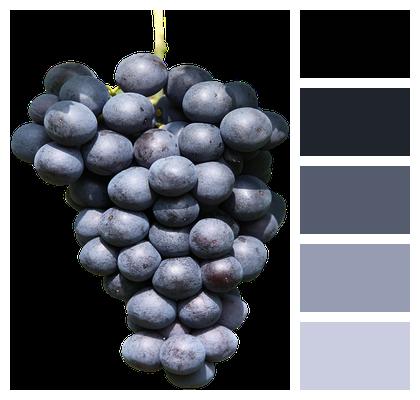 Grapes Food Fruits Image