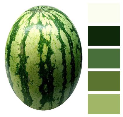 Fruit Melon Watermelon Image