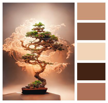 Bonsai Tree Miniature Image
