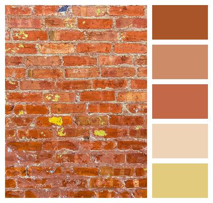 Brick Wall Texture Image