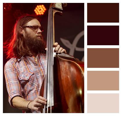 Talent Musician Musician Performance Image