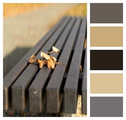 Park Bench Leaves Image