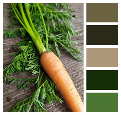 Vegetable Food Carrot Image