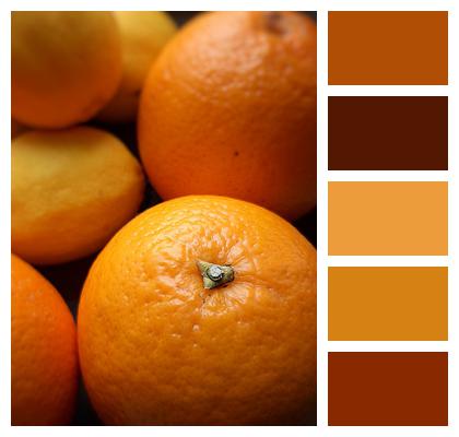 Fruit Citrus Orange Image