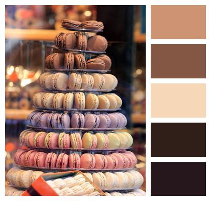 Pink Delight Gluttony Showcase Colors Almond Sugar Macaroon Brown Image