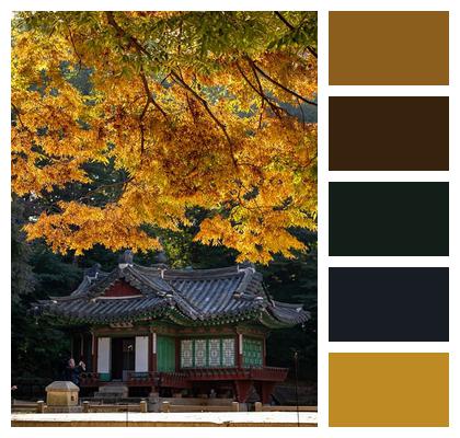 Full Width Autumn Support Korea Image