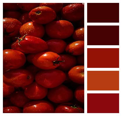 Red Fresh Tomatoes Image