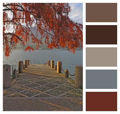 Evening Atmosphere Lakeside Foliage Coloring Nature Image
