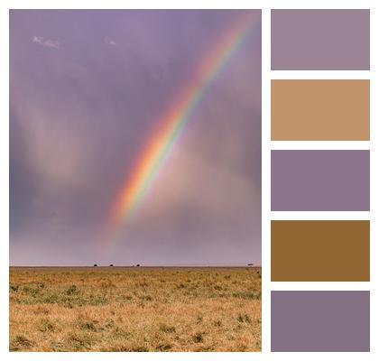 Landscape Rainbow Safari Image