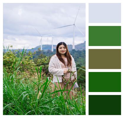 Woman Grass Windmills Image