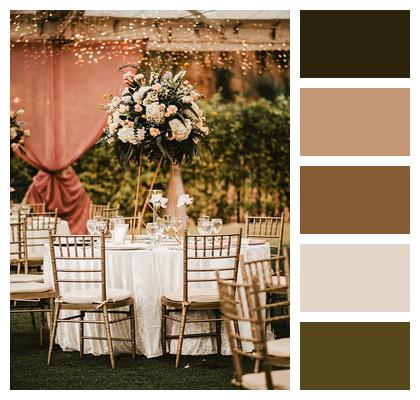 Dining Party Chairs Wedding Image