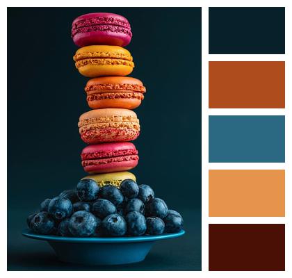 Macaroons Nature Blueberry Cookies Colours Desert Image