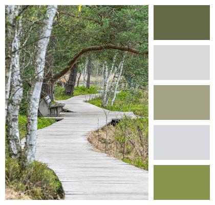 Nature Path Boardwalk Image