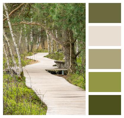 Path Boardwalk Nature Image