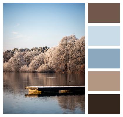 Winter Trees Lake Image