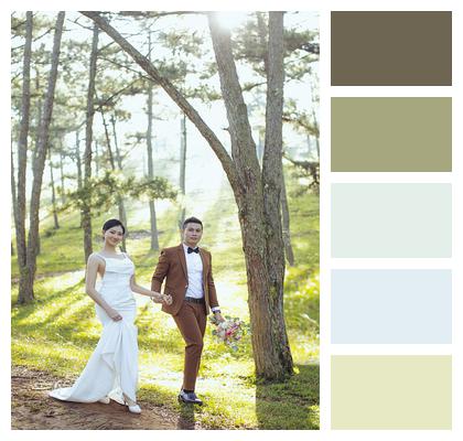 Couple Wedding Forest Image