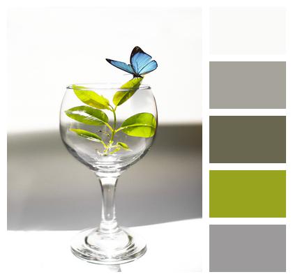 Plant Green Wineglass Image