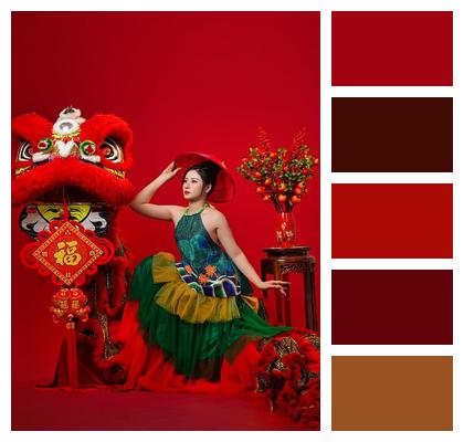 Asian Studio Tet Viet Nam Tet Image