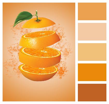 Slice Orange Design Image