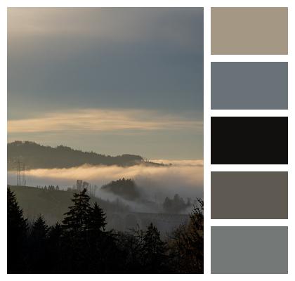 Fog Forest Sunset Image