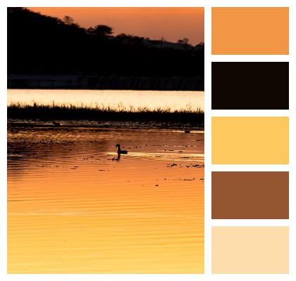 Swan Lake Sunset Image