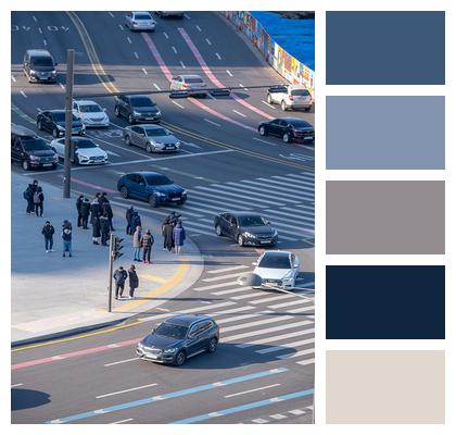 Traffic Light India Road Crosswalk Image