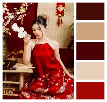Vietnam Vietnamese Woman Traditional Dress Tet Image