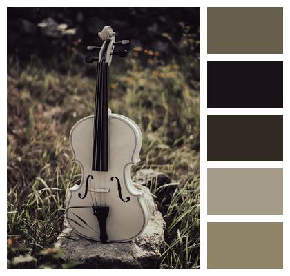 Melody Music Violin Song Image