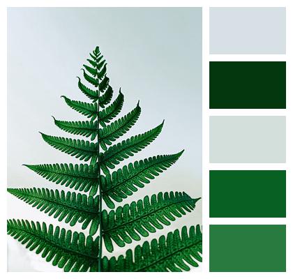 Leaf Green Greenery Image