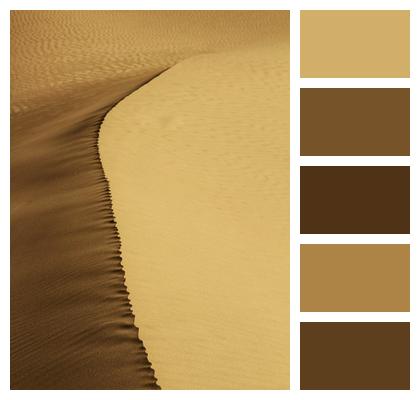 Desert Sand Line Image
