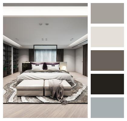 Bed Carpet Carpet Master Bedroom Image