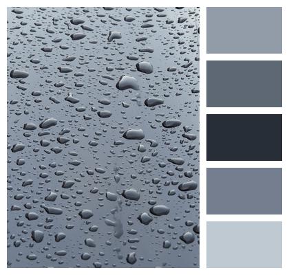 Rain Wet Raindrop Image