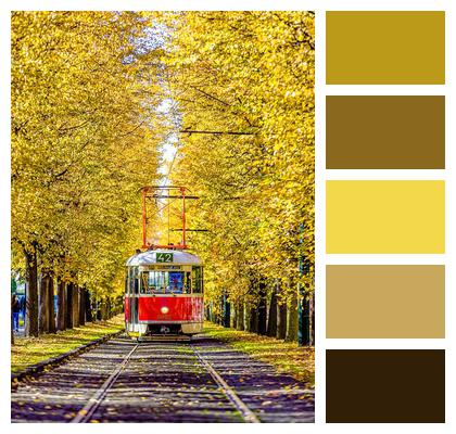 Yellow Leaves Transportation Metro Transportation Image