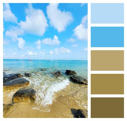 Beach Coast Seashore Seascape Image
