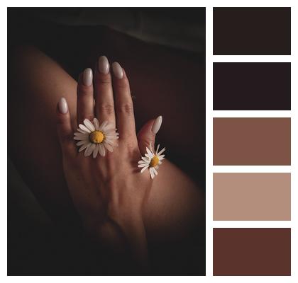 Pedicure Manicure Pedicure Aesthetics Image