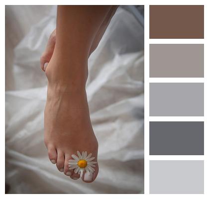 Body Pedicure Aesthetics Pedicure Image