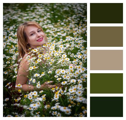 Portrait Woman Chamomile Image