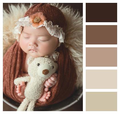 Portrait Teddy Bear Baby Newborn Image