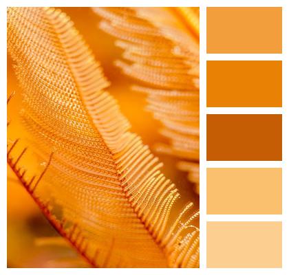 Textile Textile Fiber Thread Image