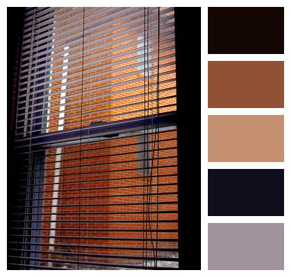 Home Window Blinds Image