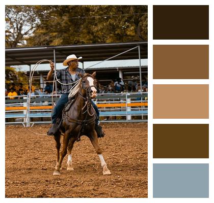 Rider Horse Rodeo Image