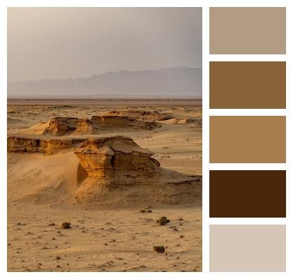 Desert Safari Sahara Image