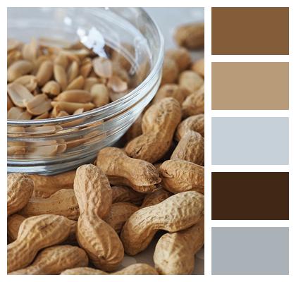 Legumes Peanuts Nuts Image